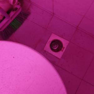 Isa Bakar Plumber/Tukang Paip Area Setapak Indah