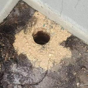 Tukang Paip Taman D'Latania Senawang Negeri Sembilan Malaysia