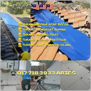 Tukang Baiki Atap Bocor Area Taman Tampoi Utama (Aries)