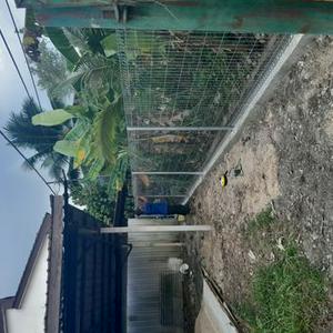 Tukang rumah kajang mohd Ridwan