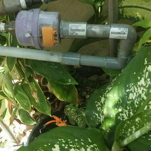 Zamri Tukang Repair Paip Senawang 