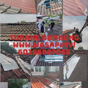 Tukang bumbung bocor dengkil