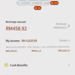 Menjana pendapatan sampingan melalui snuppee mall