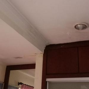 Tukang cat rumah area