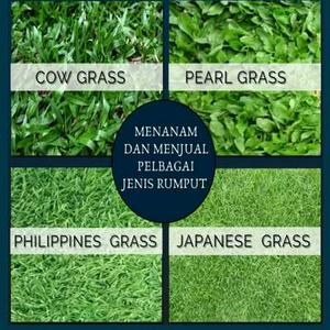 Menanam & Menjual Pelbagai Jenis Rumput, Tanah Merah Serta Batu Lombong