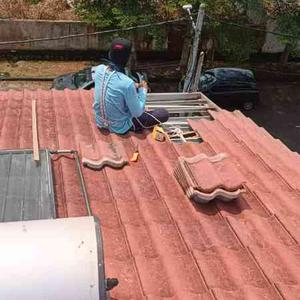 Tukang rumah taman rasa sayang