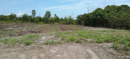 (MURAH) TANAH LOT BANGUNAN MAMPU MILIK UNTUK DIJUAL!! PEKAN PAHANG