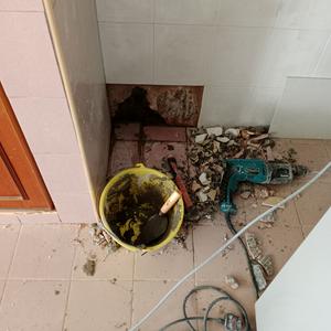 Mohd Fauzan tukang cat.atap bocor.dan plumbing setia alam