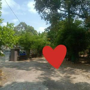 Tanah di kg Lati, Pasir Mas, Kelantan, untuk DIJUAL SEGERA!!!