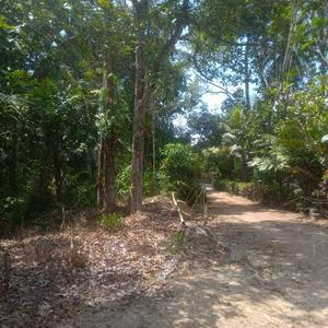 Tanah di kg Kenerak, Pasir Mas, Kelantan, untuk DIJUAL SEGERA!!!