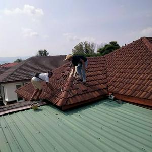 Pakar bumbung kajang