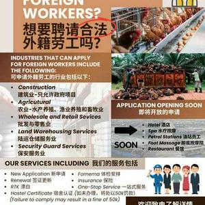Perkhidmatan Pelbagai Sektor Pekerja Asing