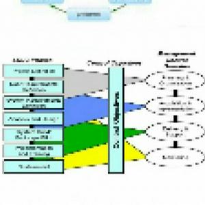 Perkhidmatan Membuat Tugasan IPTA dan IPTS serta penulisan Jurnal dan proposal syarikat