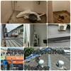 Tukang baiki atap bocor plumbing plumber service taman daya Johor Bahru sekitar