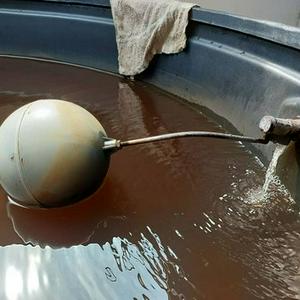 Mytukang paip Bandar saujana putra