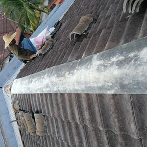 Tukang Rumah desa putra  edmi noor