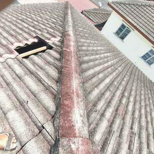 Tukang repair bumbung/atap bocor taman bukit indah nusa indah jb