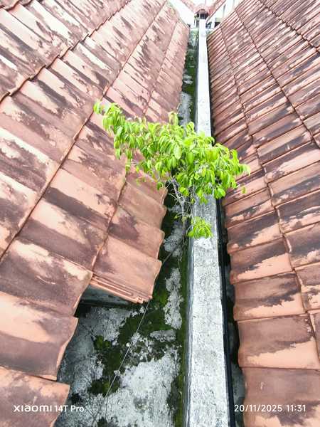 Pakar repair bumbung bocor taman impian emas Johor Bahru sekitar