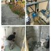 Tukang paip plumber area Lanchang Pahang