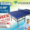 Tenis meja pingpong merk VICENZA XT PRO