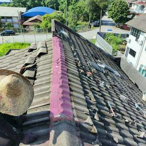 TUKANG BUMBUNG BOCOR