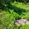 PENGKALAN KUNDANG, RAWANG SELANGOR