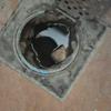 Plumber Bandar Sungai long