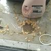 Plumber tukang paip