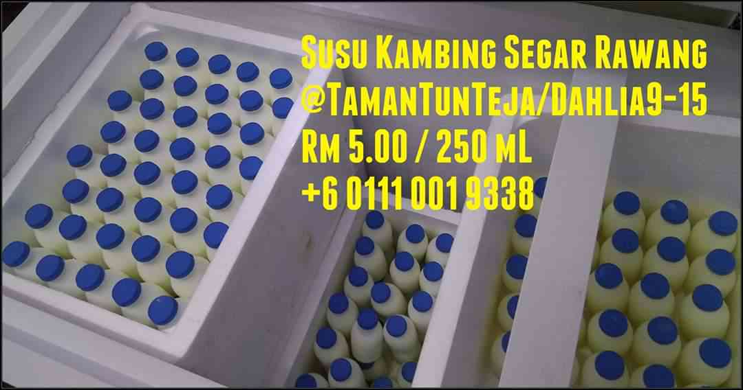 Susu Kambing Segar Rawang
